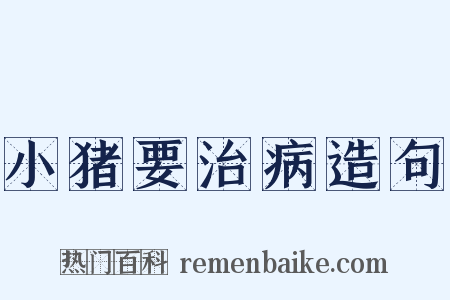 小猪要治病造句是什么意思的图片